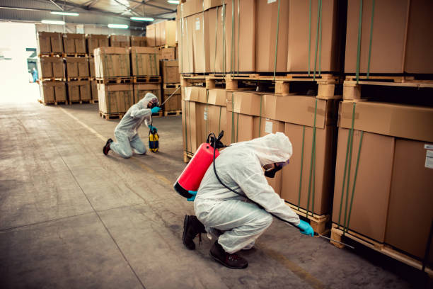 Best Mosquito Control Services  in Blasdell, NY