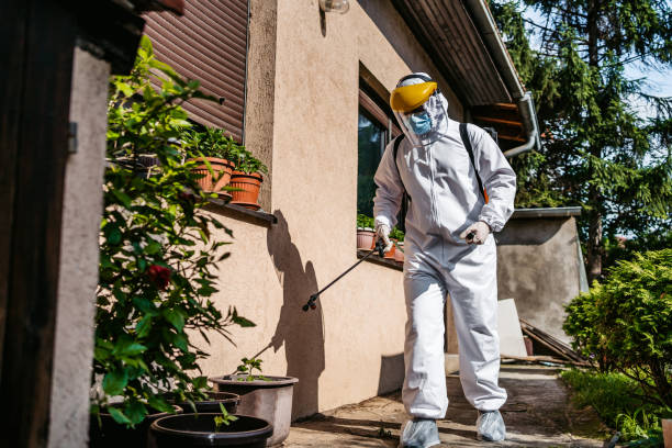 Best Wasp Removal Services  in Blasdell, NY