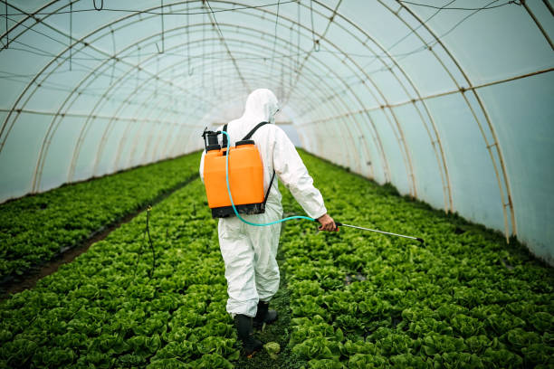Best Residential Pest Control  in Blasdell, NY
