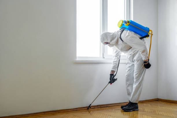 Pest Prevention Services in Blasdell, NY