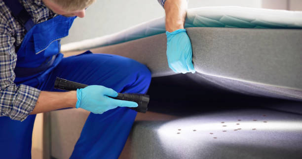 Trusted Blasdell, NY Pest Control Experts