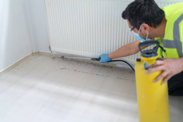 Best Residential Pest Control  in Blasdell, NY