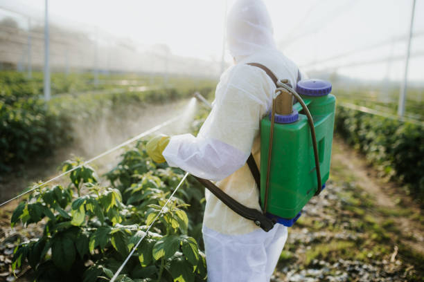 Best Residential Pest Control  in Blasdell, NY
